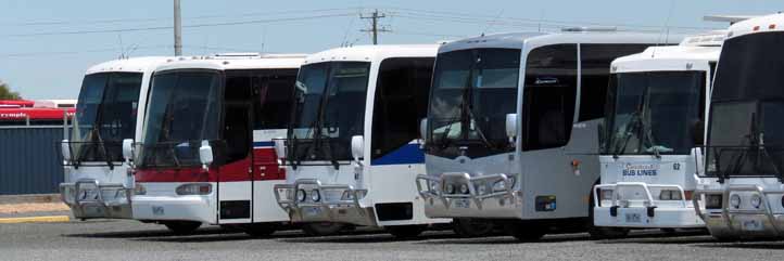 Sunraysia coach fleet